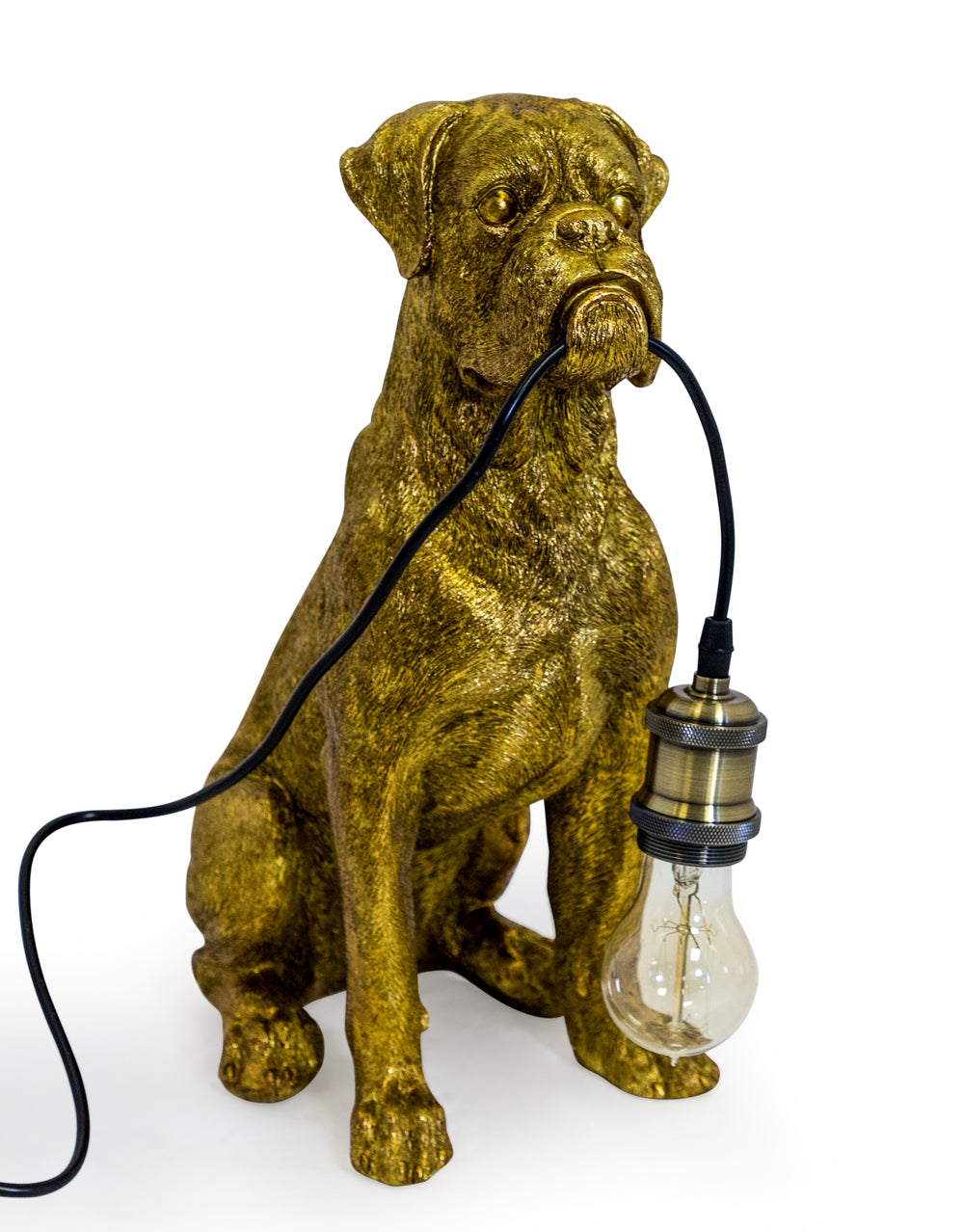 Gold Boxer Dog Lamp