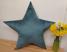 Velvet Star Cushion