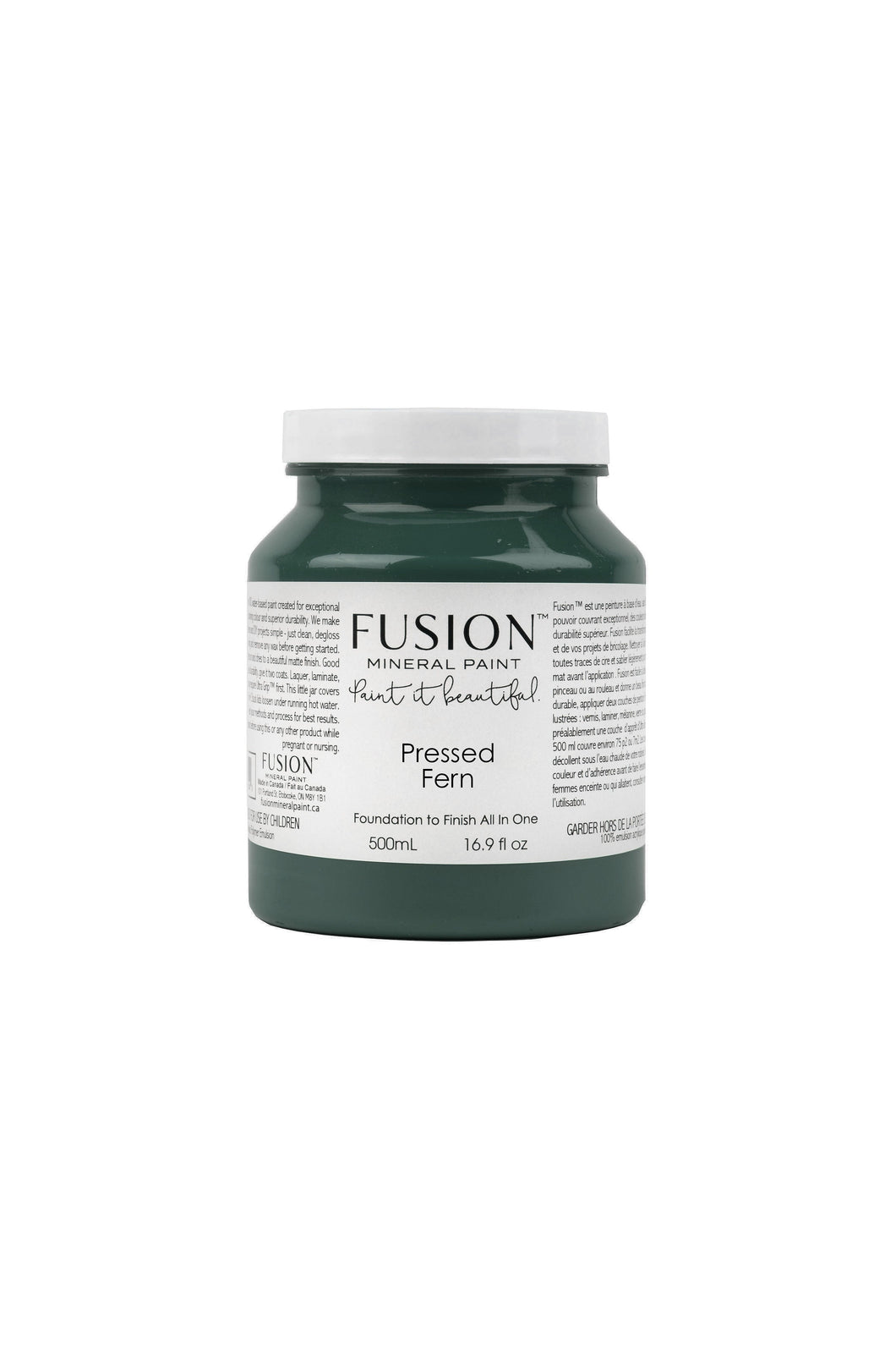 Pressed Fern Fusion Paint