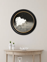 C.1910 Two Egrets in Reeds in Round Frame