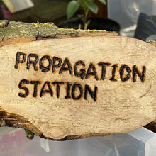 Propagation Drop-in & Live Demonstrations