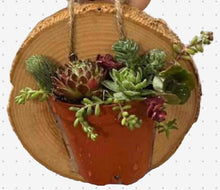 Terrarium Trio Workshop