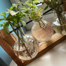 Propagation Drop-in & Live Demonstrations