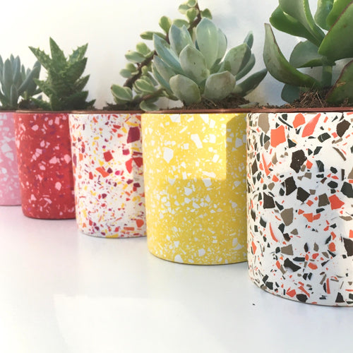 Terrazzo Plant Pot Workshop