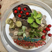 Christmas Themed Terrarium Workshop