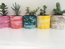 Marbled Plant Pot Workshop (with free plant)