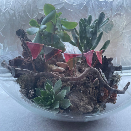 Terrarium Workshop