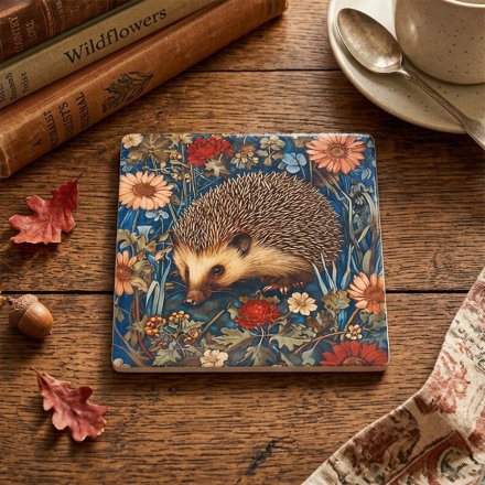 Hedgehog Coaster