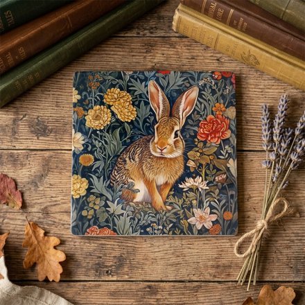 Hare Coaster
