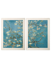 Almond Blossom Van Gogh Set