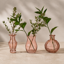 Assorted Bud Vase