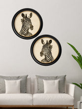 C.1900 Zebra in Round Frame