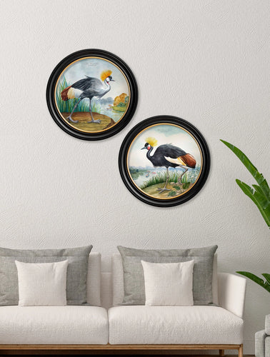 Audubon Style Cranes in Round Frame