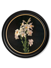 C.1874 George Cochran Lambdin Lilies in Round Frame