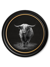 Wildlife Photography in Round Frame