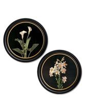 C.1874 George Cochran Lambdin Lilies in Round Frame