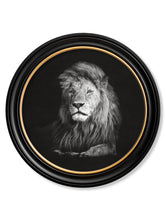 Wildlife Photography in Round Frame