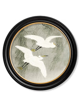 C.1910 Little Egrets in Reeds in Round Frame