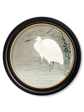 C.1910 Little Egrets in Reeds in Round Frame