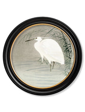 C.1910 Little Egrets in Reeds in Round Frame