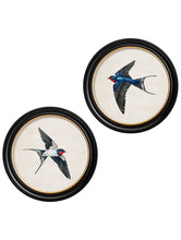 C.1875 Swallows in Round Frame