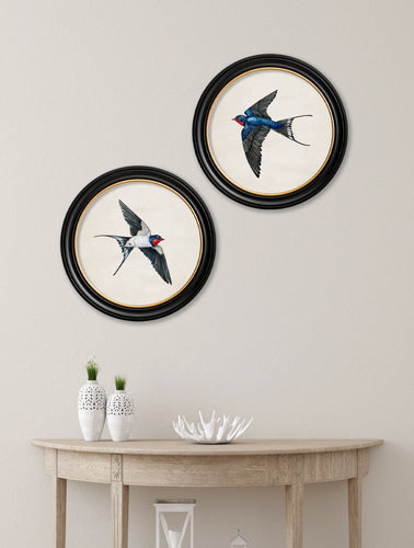 C1875 Swallows in Round Frame