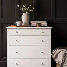 Fusion Snowdrop Paint