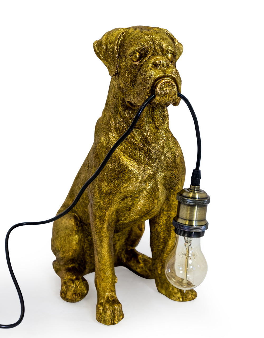 Gold Boxer Dog Lamp