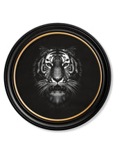 Wildlife Photography in Round Frame