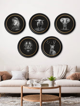Wildlife Photography in Round Frame