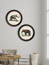 C1846. Indian Elephant in Round Frame