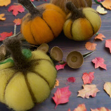 Needle Felt Pumpkins Workshop