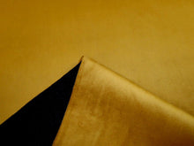 Velvet Moon Cushion