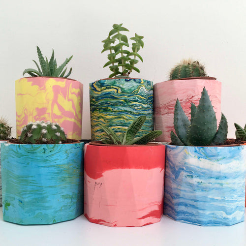 Marbled Plant Pot Workshop (with free plant)