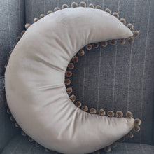Velvet Moon Cushion
