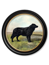 C.1881 Working Dogs in Round Frame