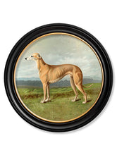 C.1881 Working Dogs in Round Frame