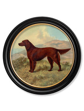 C1881. Working Dogs in Round Frame