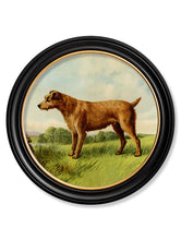C1881. Terriers in Round Frame