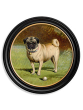 C.1881 Dogs in Round Frame
