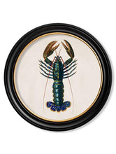C.1876 Marine Animals in Round Frame