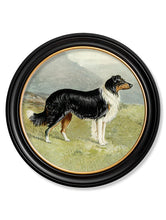 C.1881 Working Dogs in Round Frame