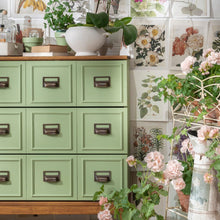 Conservatory Fusion Paint