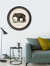 C1846. Indian Elephant in Round Frame