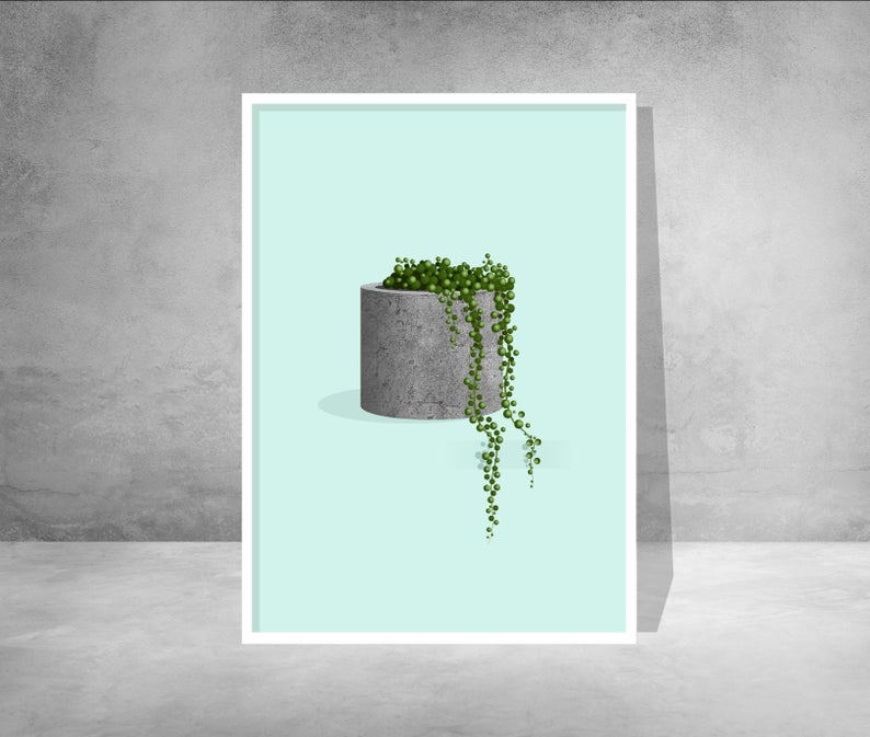 String of Pearls Plant in Concrete Pot Print