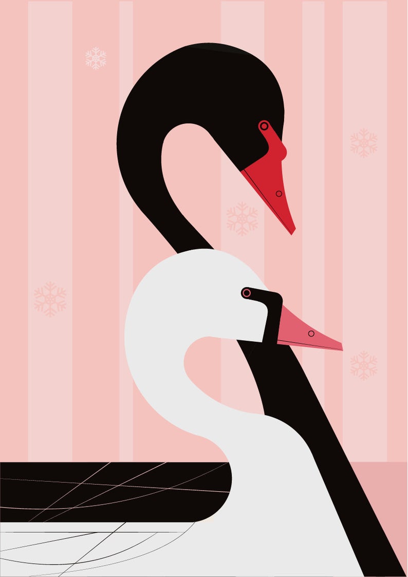 Swans in the Snow Print