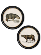 C.1846 Rhino & Hippo in Round Frame