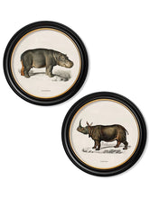 C1846. Rhino & Hippo in Round Frame