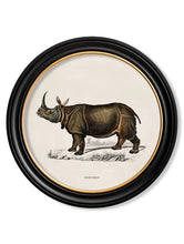 C.1846 Rhino & Hippo in Round Frame