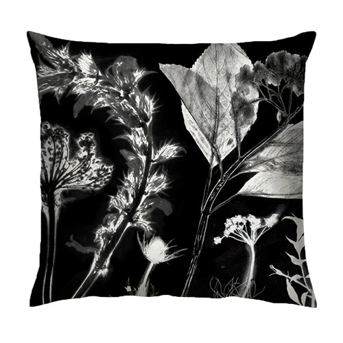 From Loft to loved - Gillian Arnold - 45cm velvet cushion - duck feather inner - Sedgefield, County Durham - Spring's spectre - monochrome - black and white botanical print